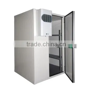 Walk in Cooler Doors thumbnail-1