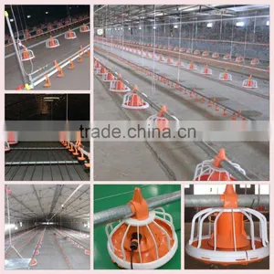 Broiler Farm House and Equipments thumbnail-6