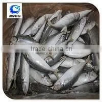 Horse Mackerel Price thumbnail-1