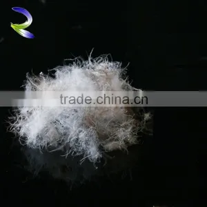 Wholesales High Quality Down Feathers Wholesale Gray Duck Feather Supplier's Choice thumbnail-1