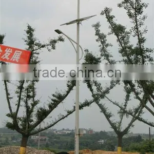 6m-12m Solar&wind Hybrid Street Light for Choice thumbnail-5