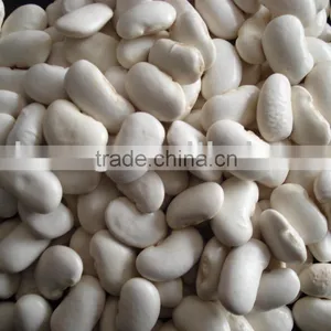 White Kidney Beans thumbnail-1