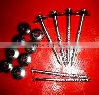 Lesotho Market Twisted Nails thumbnail-3