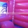 Inflatable Castle and Slide , Inflatable Bouncer thumbnail-3