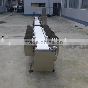 3-12 Level Weight Sorting Machine, Check Weigher to Sort and Weigh Chicken Breast Fillets. Ranging From 5g to 1500g. thumbnail-4