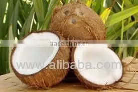 Semi Husked Coconut thumbnail-1