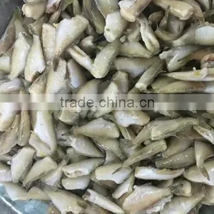 Filefish Good Packing Frozen Leather Jacket Fillet Fish thumbnail-2