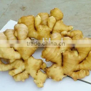 Fresh Ginger thumbnail-1