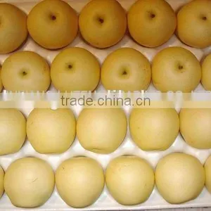 Excellent Crown With Cheaper Price for Sell thumbnail-6
