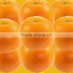 Juicy Fresh Kinnow, Mandarin Orange, Fresh Citrus Fruit thumbnail-1