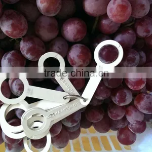 2014 New Crop Red Globe Grapes thumbnail-3