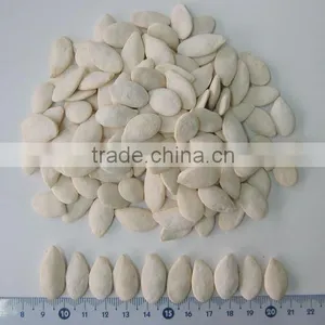 Wholesale Delicious Red Watermelon Seeds thumbnail-3
