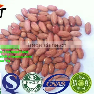 High Quality Red Skin Peanut ,peanuts thumbnail-3