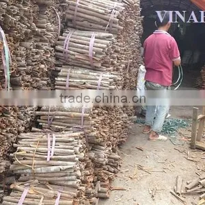 VIETNAM SPLIT CASSIA WITH BEST PRICE, HIGHT QUALITY thumbnail-2