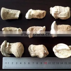 Mushroom Head Dildo, thumbnail-1