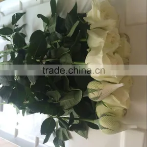 Wedding Flowers Fresh Cut Roses Fresh Flower Hand Bouquet Decoration Fresh Flowers thumbnail-6