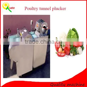 Fruits And Vegetable Processing Equipment, Vegetable Cutter thumbnail-5