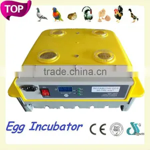 DFPets DFI003 Durable Egg Incubation and Hatchery Machine thumbnail-1