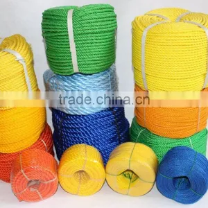 Chinese Best Quality Competitive Price Plastic Rope thumbnail-1