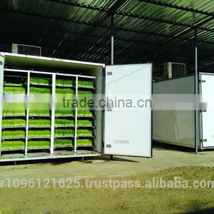 STAR GF300 Hydroponic Trays / Hydroponics Fodder / Hydroponic Fodder thumbnail-5