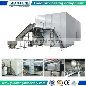 Shangyu Guanfeng Frozen French Fries Production Plant IQF Machine Price thumbnail-4