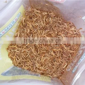 First Grade Chicken Feed Mealworms, Mealworms High Protein Bird Food thumbnail-5