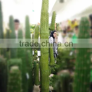 CHY030926 Artifiical 70cm Cactus Modern Home Decoration thumbnail-2