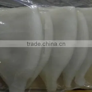 Sea Frozen Calamari Tube of Illex Squid thumbnail-1