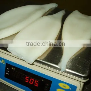 Calamari Tubo thumbnail-1