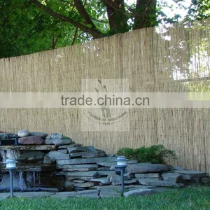 Reed Fence thumbnail-1