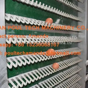 South Africa Chicken Farming Hot Galvanized Cage A Type Battery Laying Egg Chicken Cage & Chicken Coop & Hen Cage With 120 Birds thumbnail-2