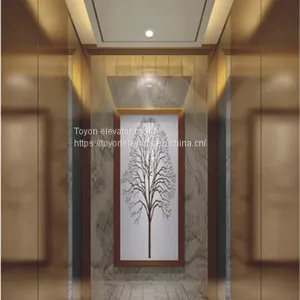 Toyon Villa Lift for Residential and Home Elevator thumbnail-1