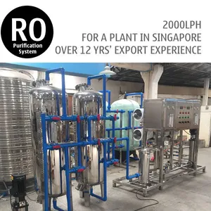 2TPH Singapore Ordered Commercial RO Water Filtration System thumbnail-1
