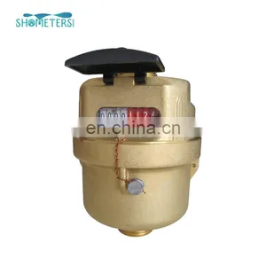 Brass Body Volumetric Liquid Sealed Cold Kent Water Flow Meter thumbnail-5