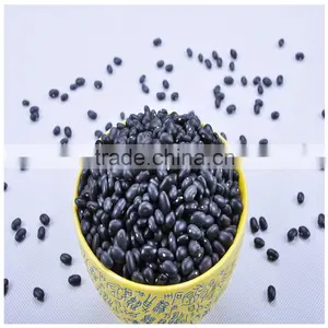Non Gom Black Kidney Beans Excellent Quality thumbnail-1