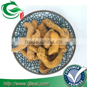 Turmeric /curcuma Longa/turmeric Plant /curcumin thumbnail-1