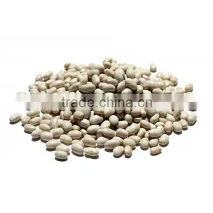 Navy Beans thumbnail-1