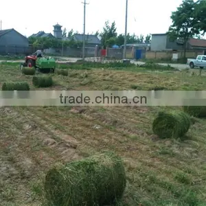 RXYK0850/0870 Mini Hay Baler Machine thumbnail-6