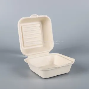 Burger Box 6 