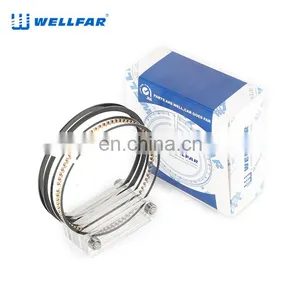 2M4862 Wellfar GMC Vortec 4300 Engine Piston Rings For Chevrolet Suburban Savana Sonomasilverado 1500,2500 Car Engines thumbnail-3
