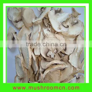White Button Mushroom thumbnail-1