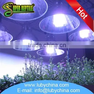 New Style uv Energy Saving Lamp 10.0 for Reptile Breeding thumbnail-6