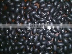 Chinese Black Kidney Beans thumbnail-1