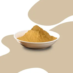 Food Grade Oyster Meat Extract Powder Nutritious Flavoring Agents and Nutrition Enhancers for Nutrient Supplementary thumbnail-1