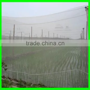 Dense Small Net Anti Insect Netting Crop Veg Protection thumbnail-6