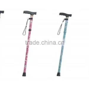 Walking Stick thumbnail-3