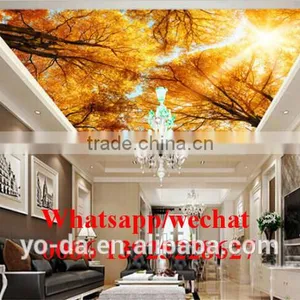 High Resolution Large Format Acrylic uv Printer / Flex Banner uv Hybrid Printer With KM1024i thumbnail-2
