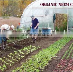 Best Quality Organic Fertilizer - Neem Cake thumbnail-2