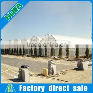 Hot Galvanized Steel Wide Span Greenhouse,mushroom Growing House thumbnail-1