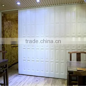 Partition Wall Solid Plastic Folding Doors thumbnail-1